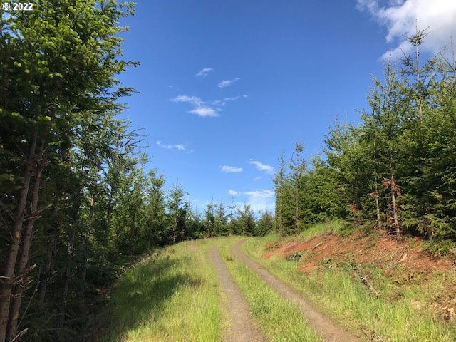 0 Old Military Road Dallas, OR 97338 - Photo 8 of 12