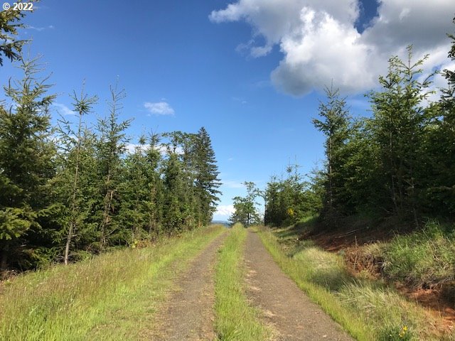 0 Old Military Road Dallas, OR 97338 - Photo 9 of 12