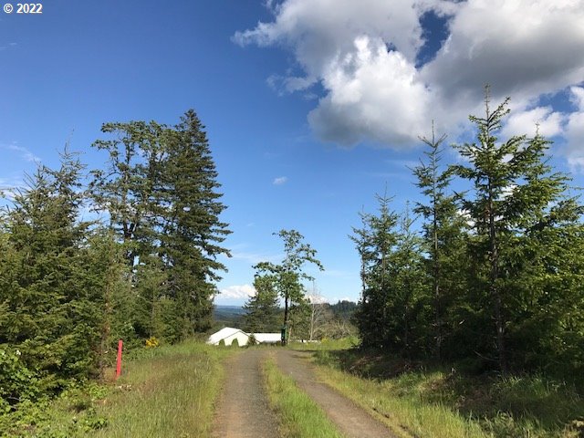 0 Old Military Road Dallas, OR 97338 - Photo 10 of 12