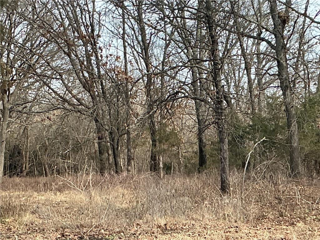 3197 Florida Road Pomona, KS 66076 - Photo 2 of 10