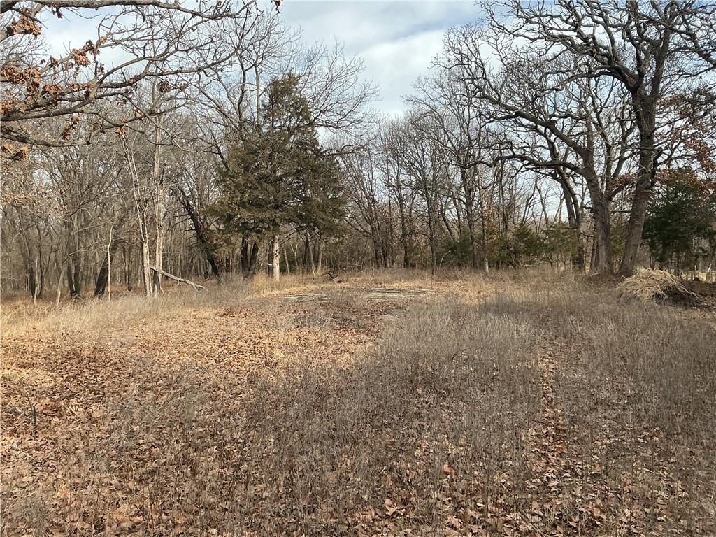 3197 Florida Road Pomona, KS 66076 - Photo 3 of 10