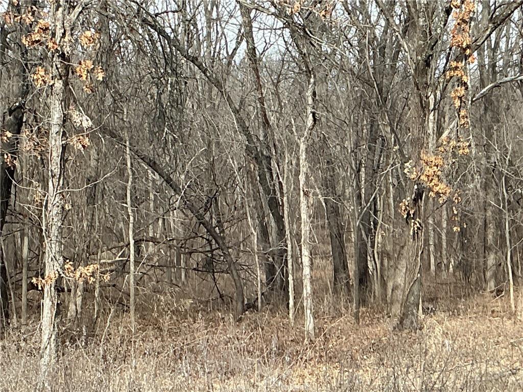 3197 Florida Road Pomona, KS 66076 - Photo 4 of 10