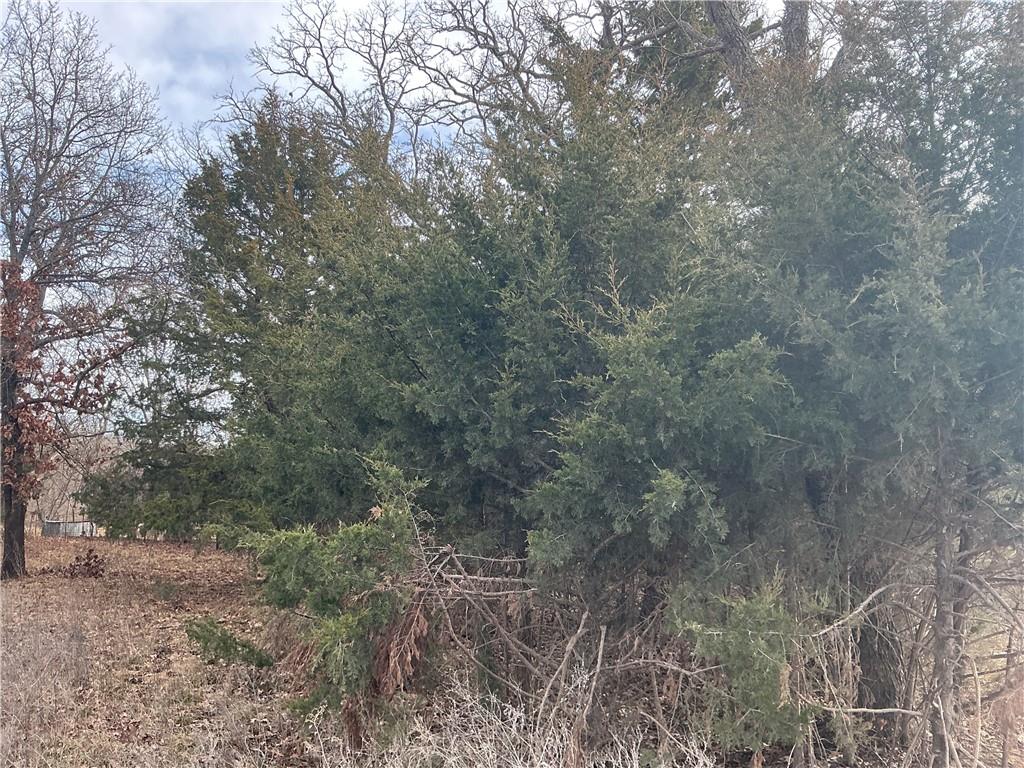 3197 Florida Road Pomona, KS 66076 - Photo 6 of 10