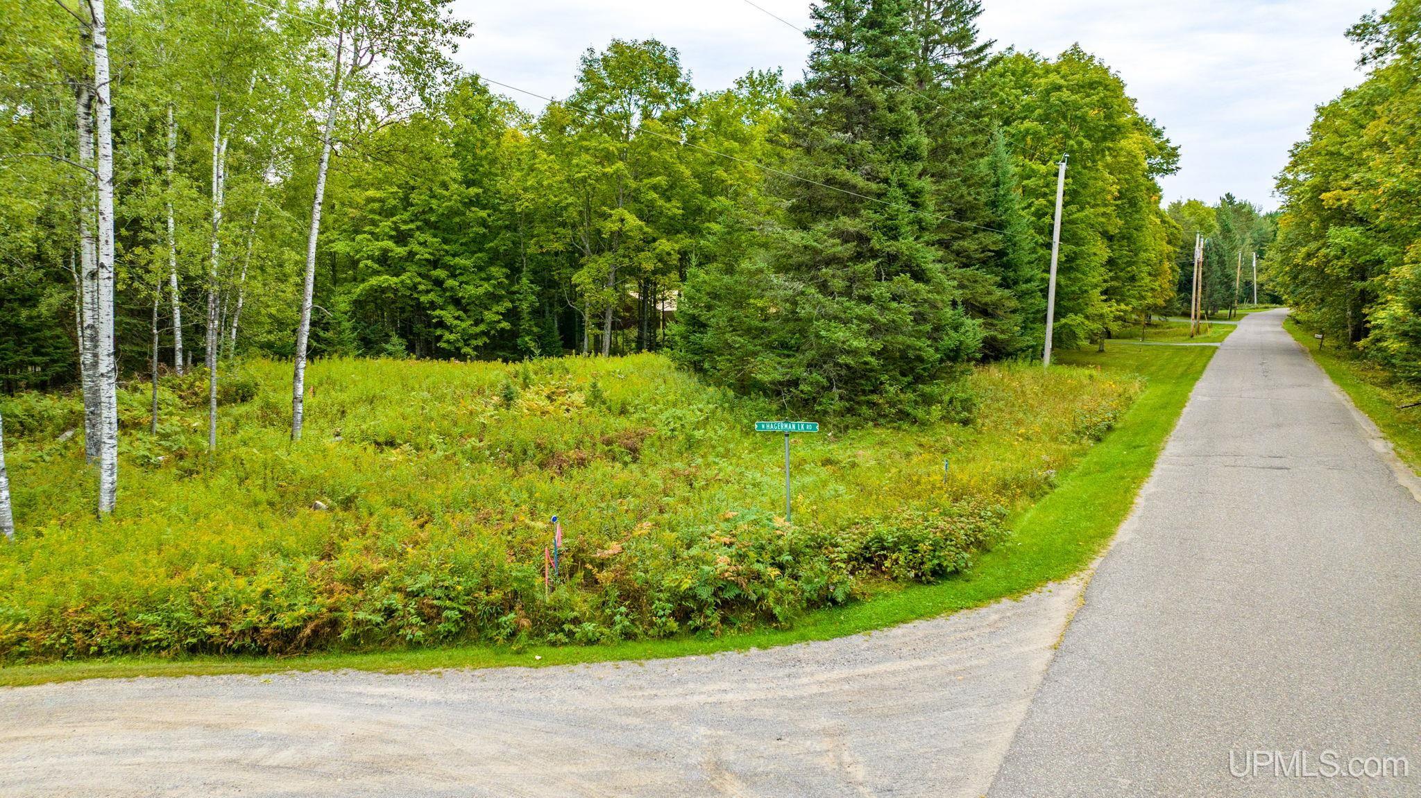 Tbd Hagerman Lake Road Iron River, MI 49935 - Photo 9 of 15