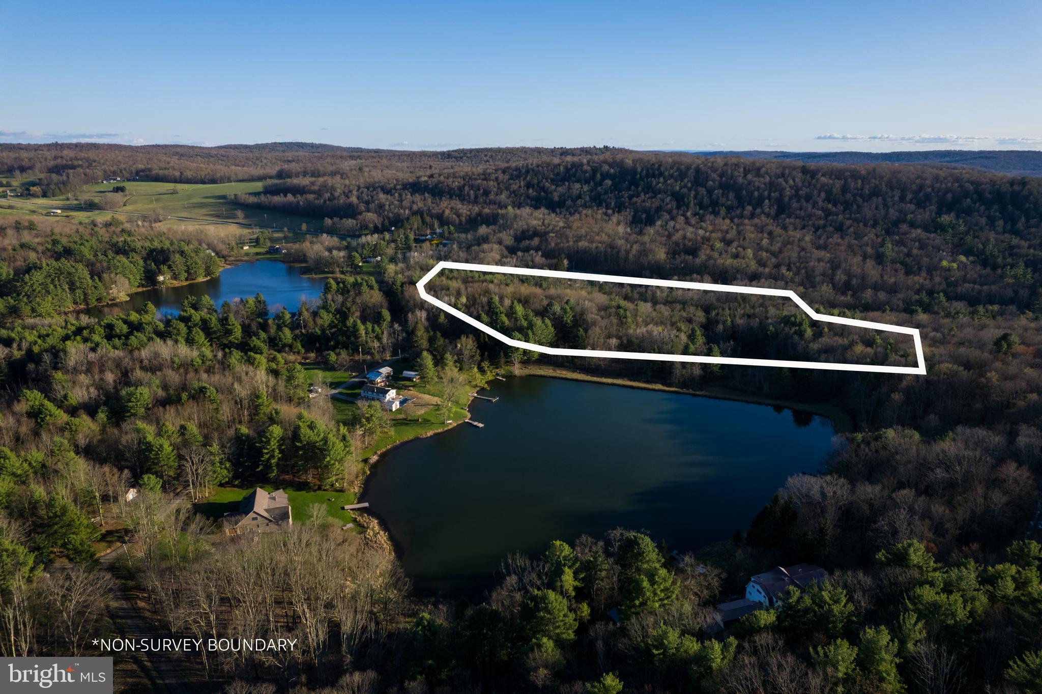 0 Twin Lakes Road Brackney, PA 18812 - Photo 9 of 43