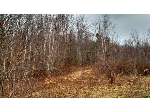 Lot 35 Turner Road Readsboro, VT 05350 - Photo 1 of 1