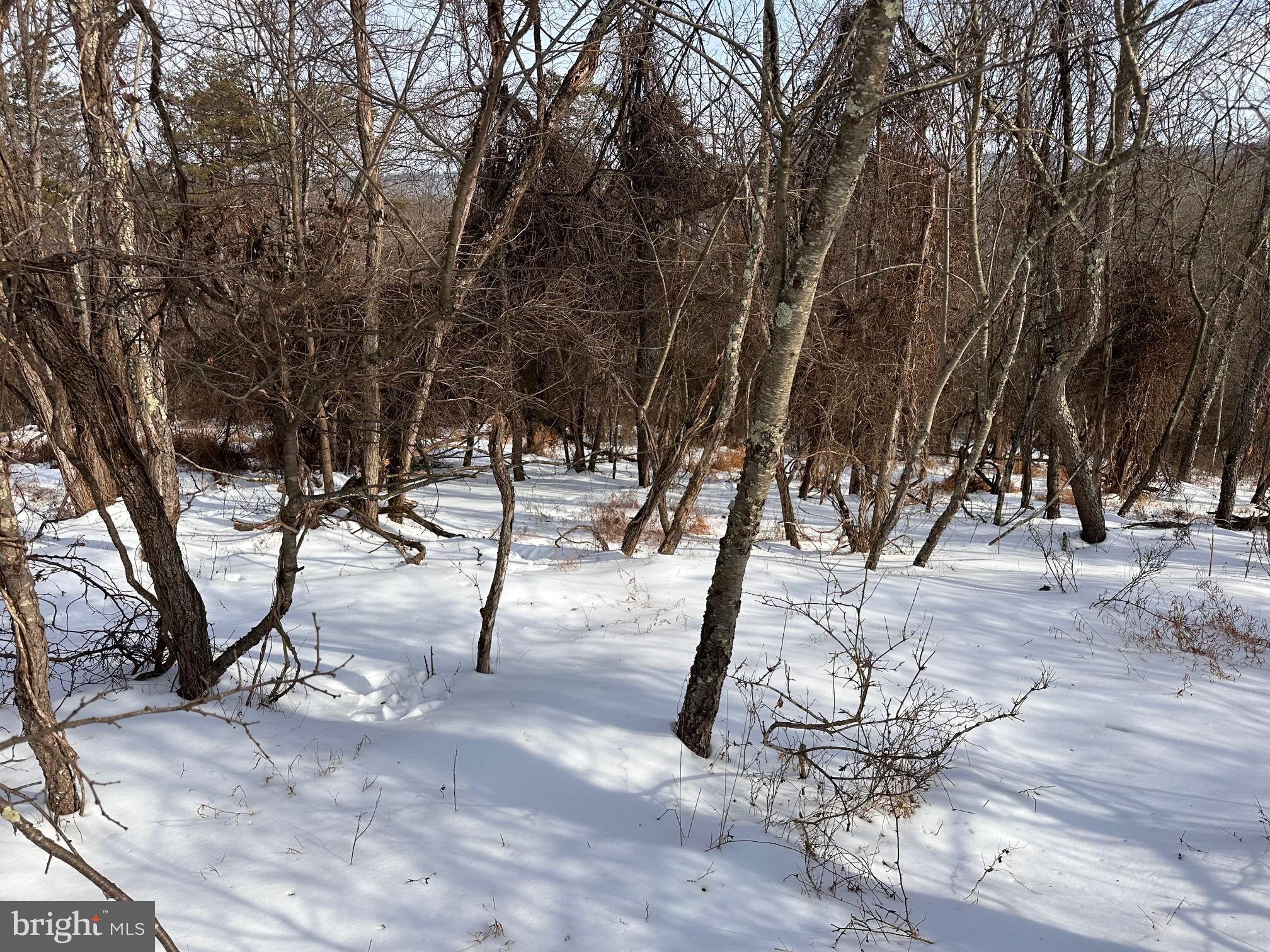 18.52-ac Winchester Grade Road Berkeley Springs, WV 25411 - Photo 6 of 7