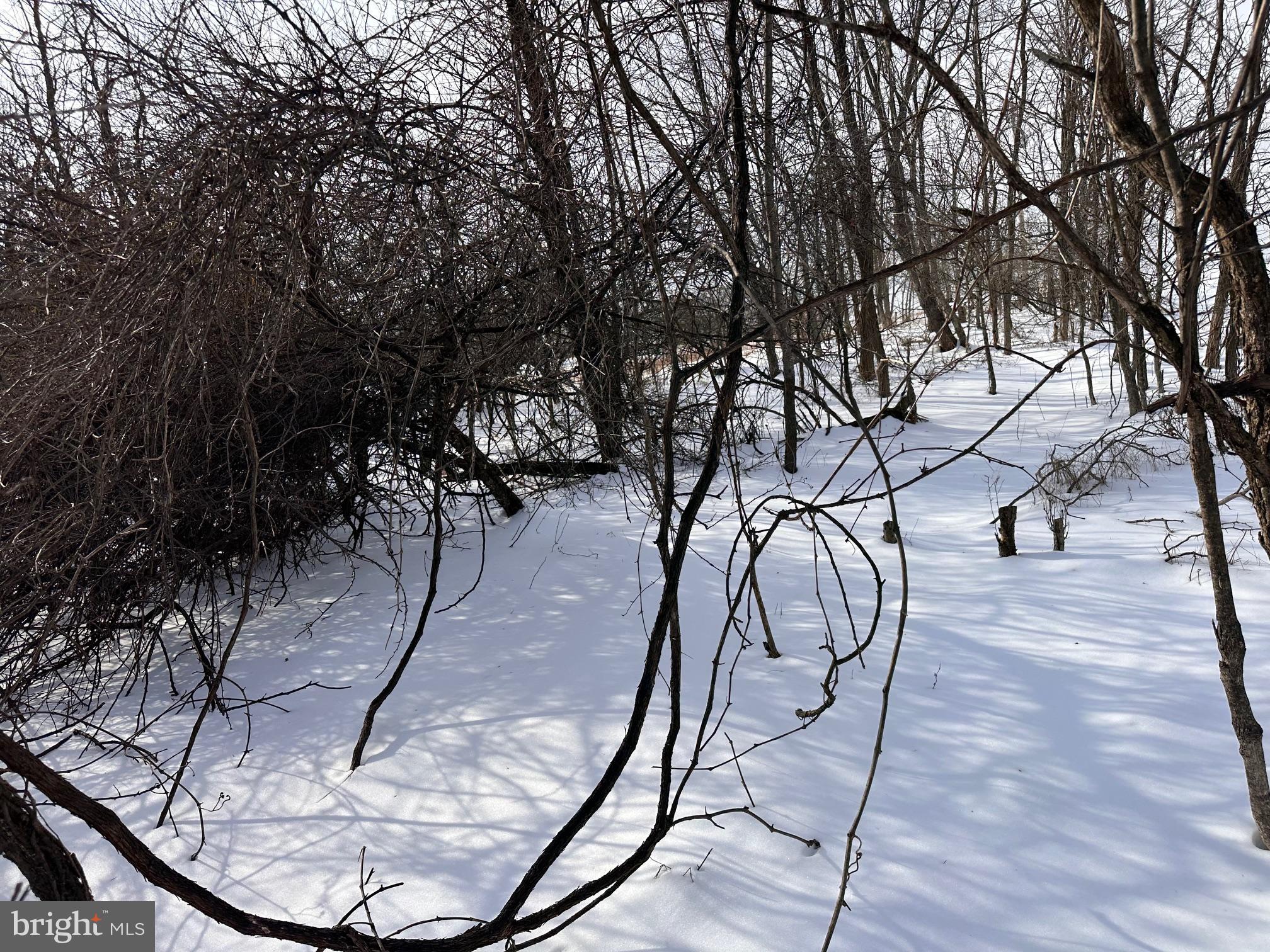 18.52-ac Winchester Grade Road Berkeley Springs, WV 25411 - Photo 7 of 7