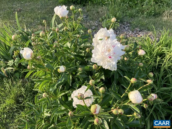 a view of a lake with houses