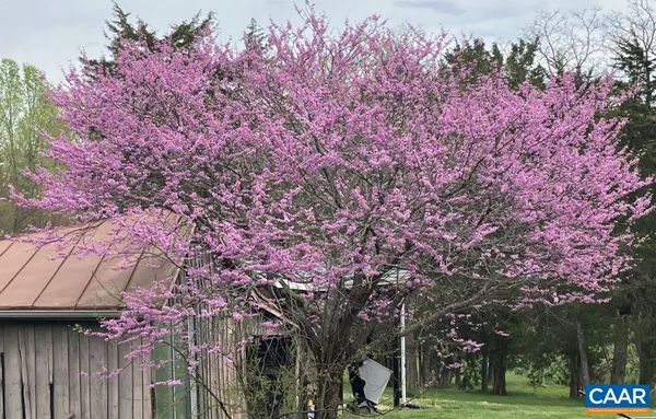 a backyard of a house