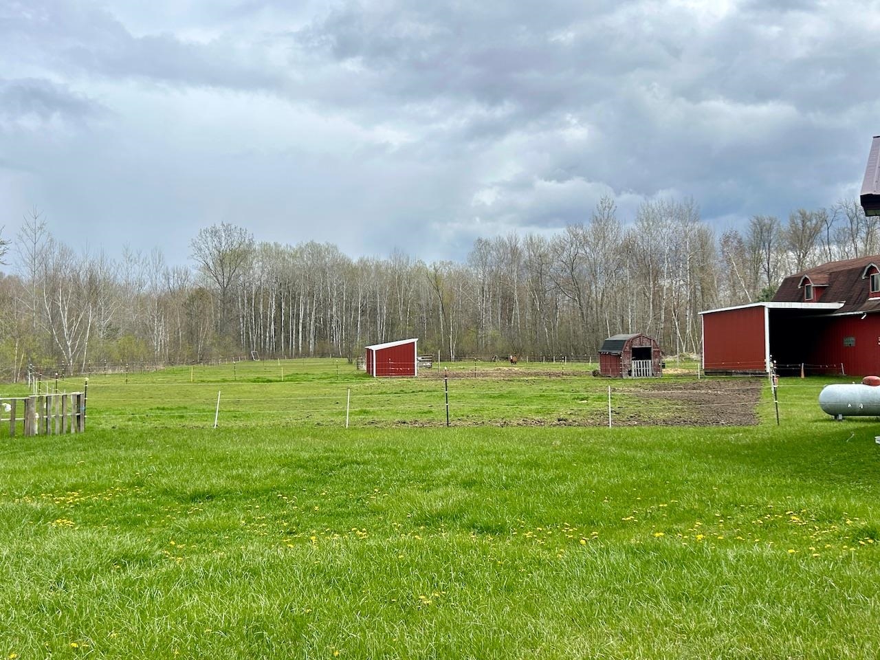 2760 3 Rivers Road Gladwin, MI 48624 - Photo 20 of 35