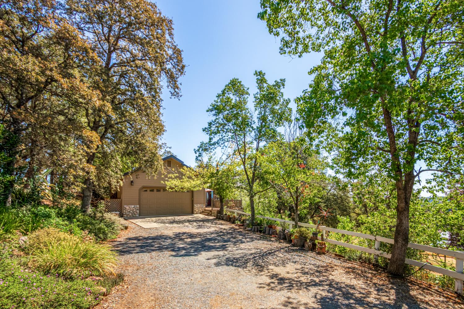 9290 Cramer Road Auburn, CA 95602 - Photo 2 of 67 a view of a yard with plants and trees