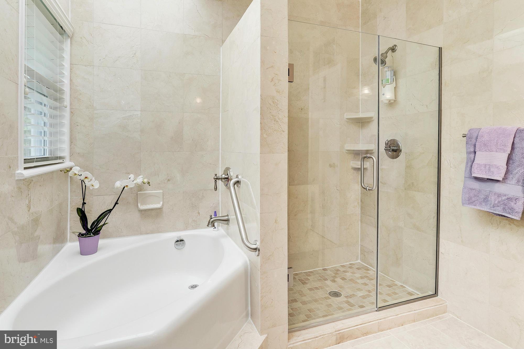 18005 Highfield Road Ashton, MD 20861 - Photo 21 of 30 Master Bathroom