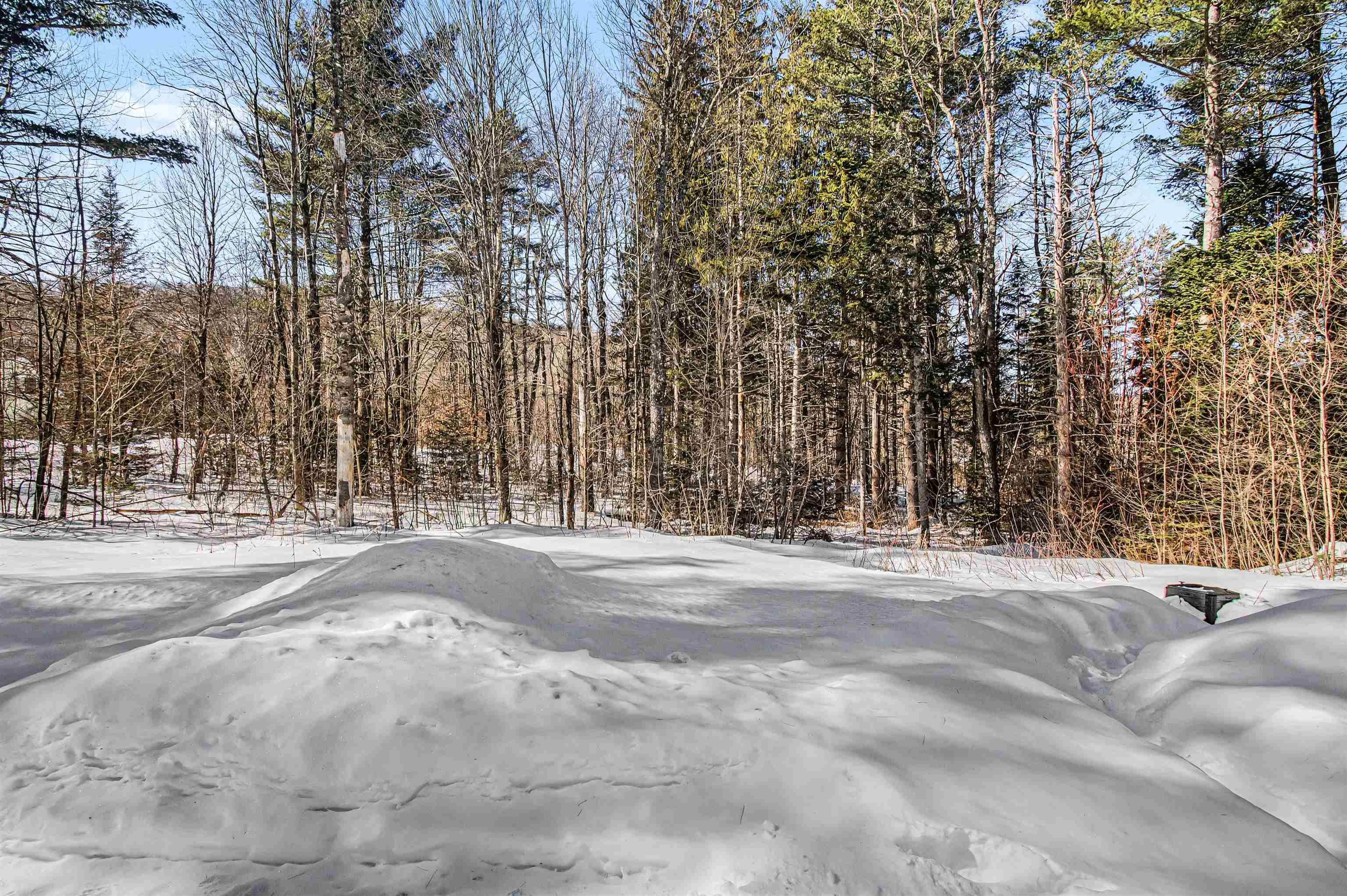 63 Pine Street, Unit A14 Warren, VT 05674 - Photo 25 of 50
