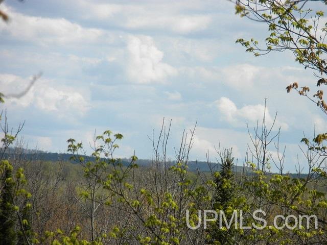Tbd Clement Road Saxon, WI 54559 - Photo 8 of 34
