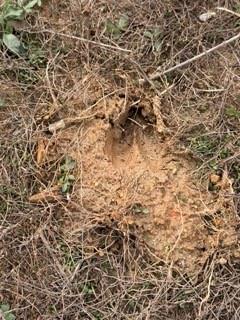 0 Rutledge Road Acworth, GA 30101 - Photo 12 of 14 unknown