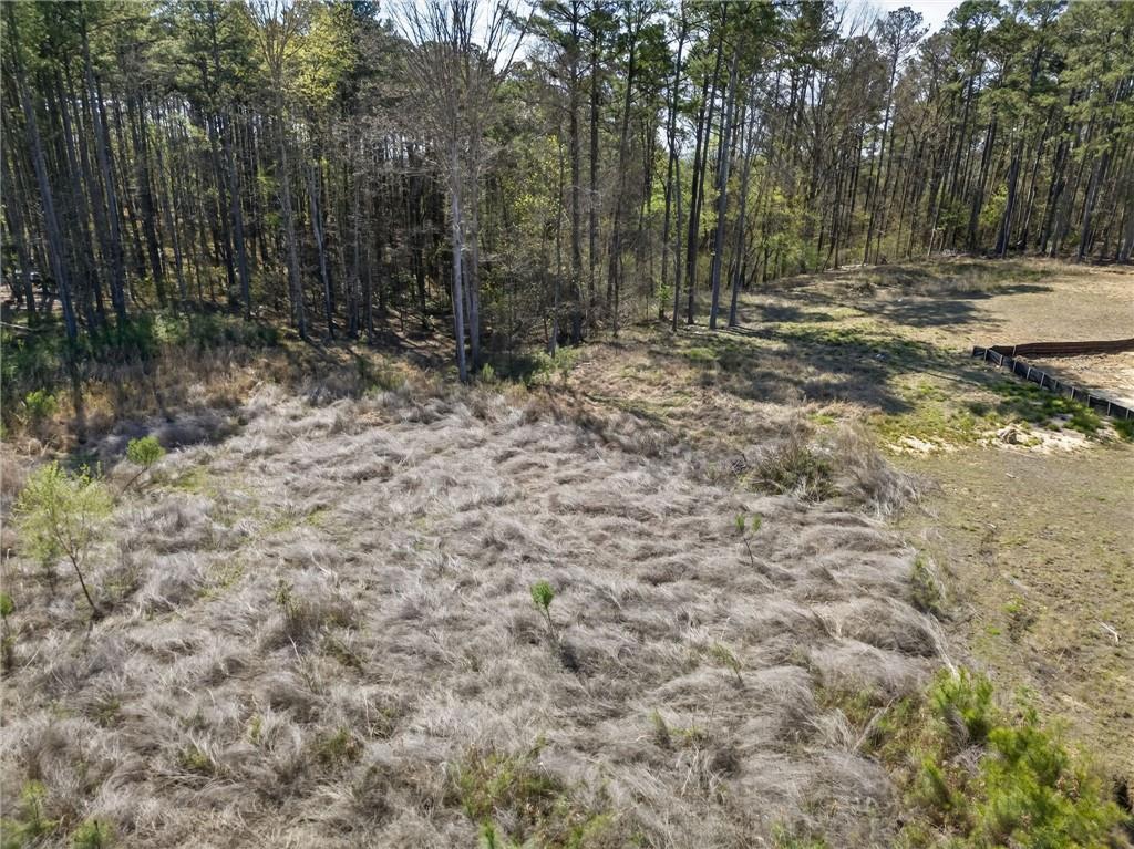 0 Rutledge Road Acworth, GA 30101 - Photo 7 of 14 a view of backyard with green space