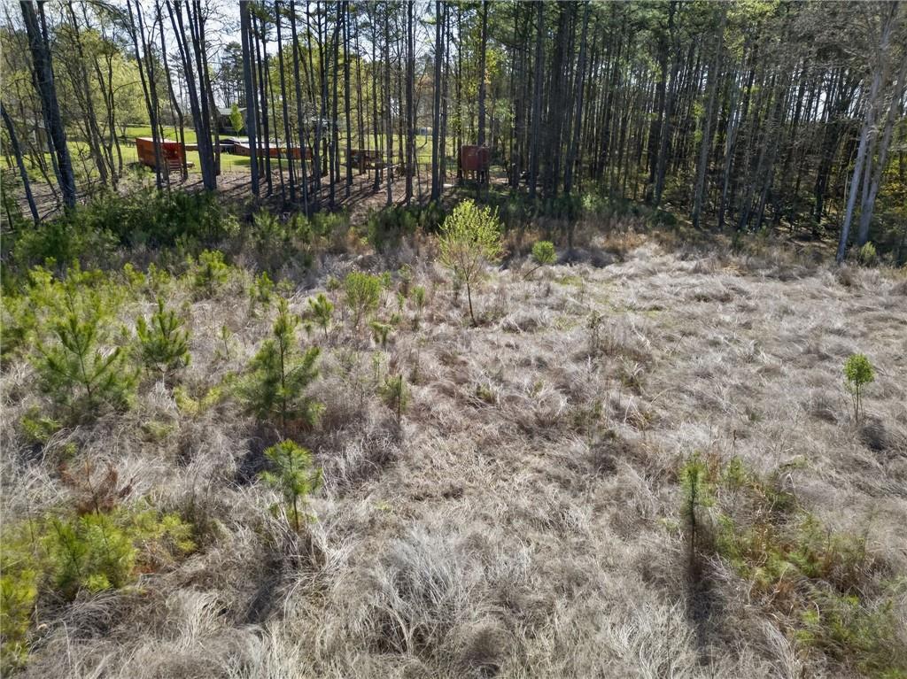 0 Rutledge Road Acworth, GA 30101 - Photo 8 of 14 a view of backyard with green space