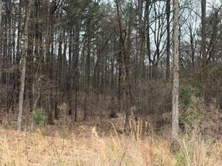 0 Rutledge Road Acworth, GA 30101 - Photo 9 of 14 a view of a yard