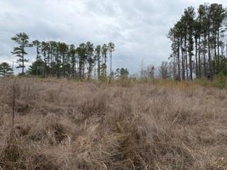 0 Rutledge Road Acworth, GA 30101 - Photo 10 of 14 a view of a yard with trees in front of it