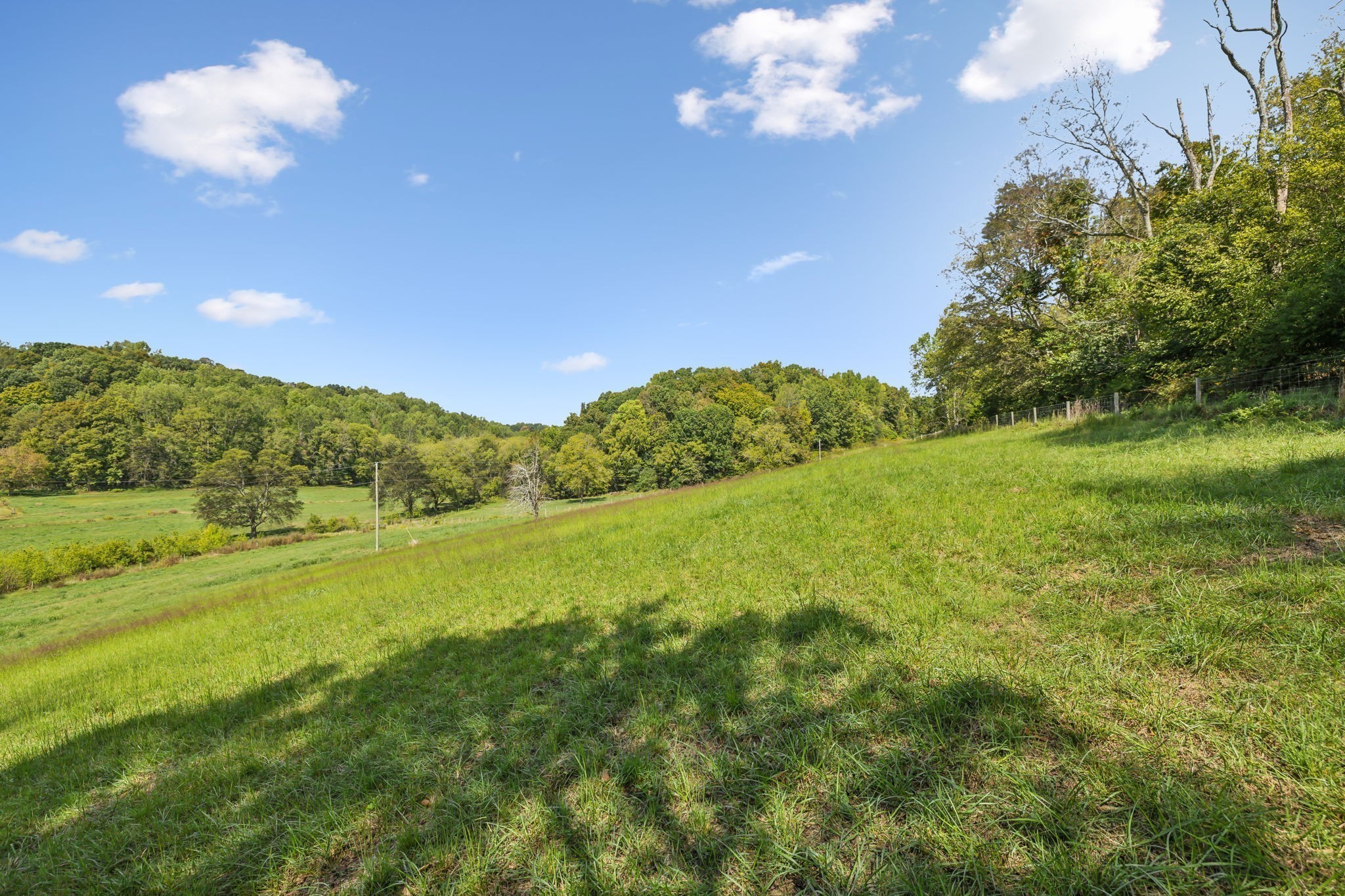 5 Young Road Pulaski, TN 38478 - Photo 4 of 8 a view of a big yard with swimming pool and green space