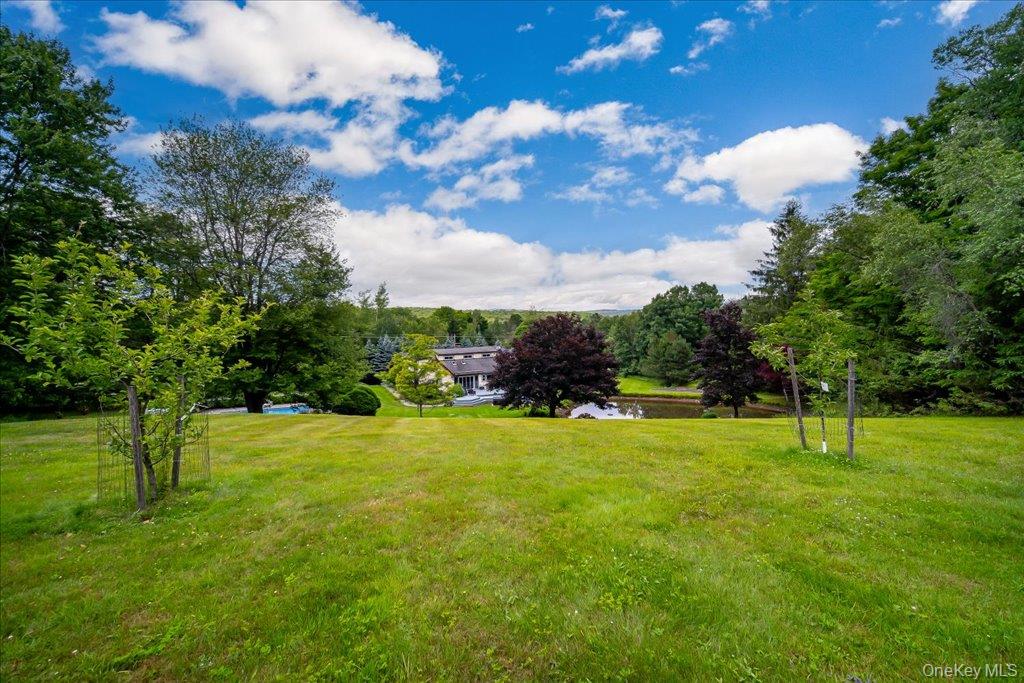 6566 State Rte 55 Liberty, NY 12754 - Photo 47 of 50 Back yard with pond