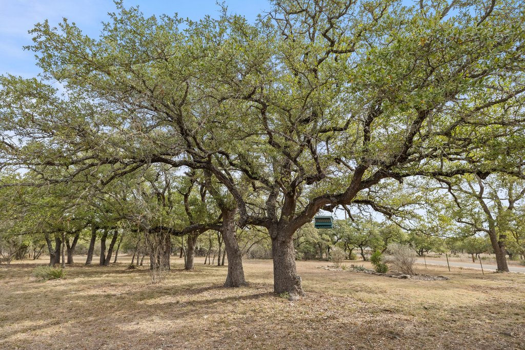 232 Crooked Oak Round Mountain, TX 78663 - Photo 31 of 40 a view of road with trees