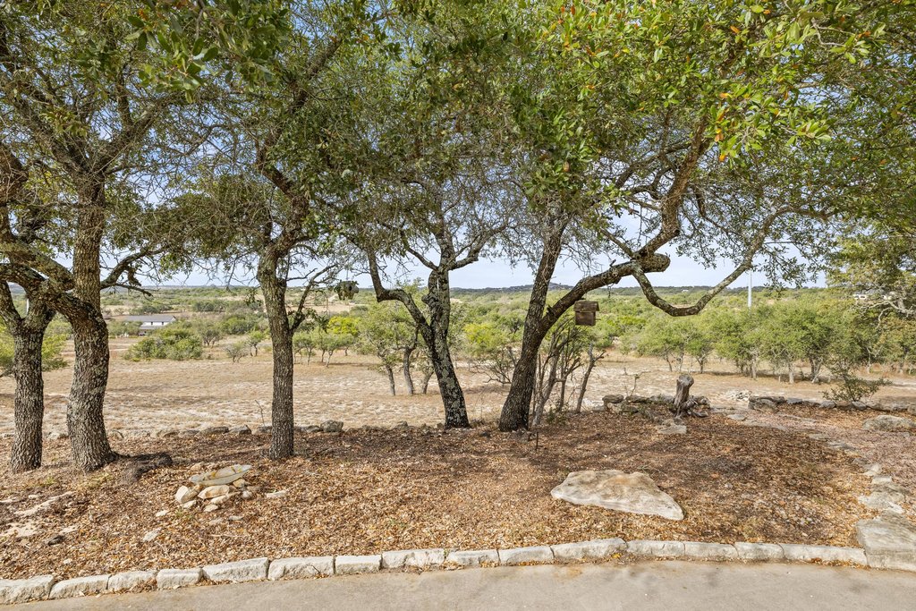 232 Crooked Oak Round Mountain, TX 78663 - Photo 38 of 40 a view of a yard with a tree