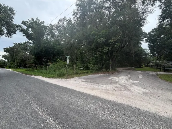 a backyard of a house with trees and plants