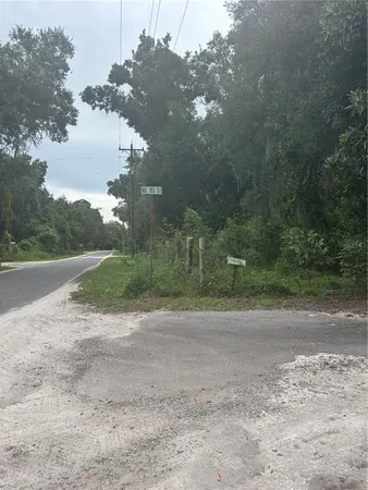 a view of a yard with a tree