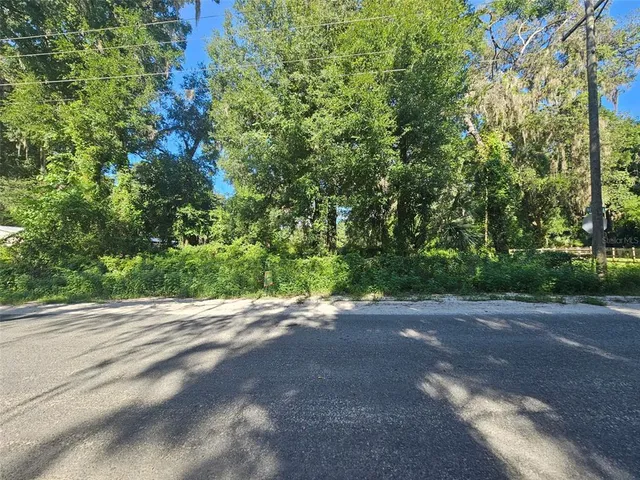 a view of a yard with a tree