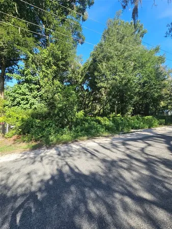 a view of a yard with plants and a trees