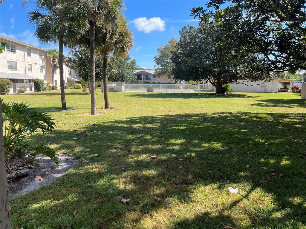 1916 Honour Road, Unit 1 Orlando, FL 32839 - Photo 7 of 20 a view of a yard with palm trees