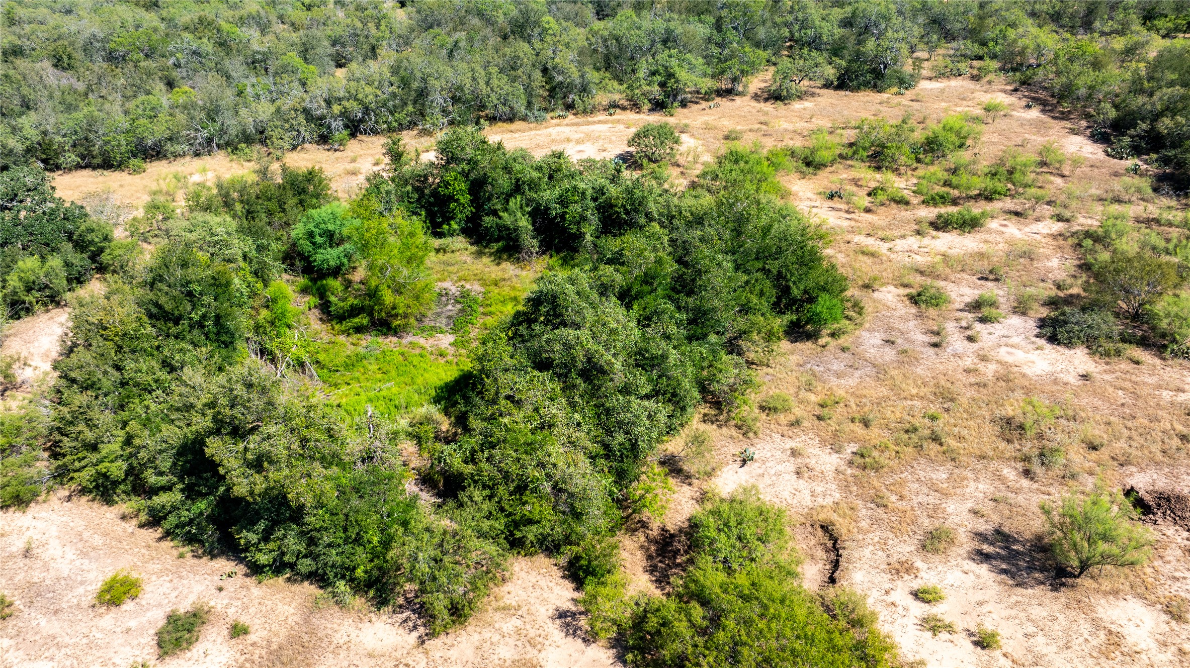 Lot 3 Tumbleweed Trail Dale, TX 78616 - Photo 11 of 20 View of rural area