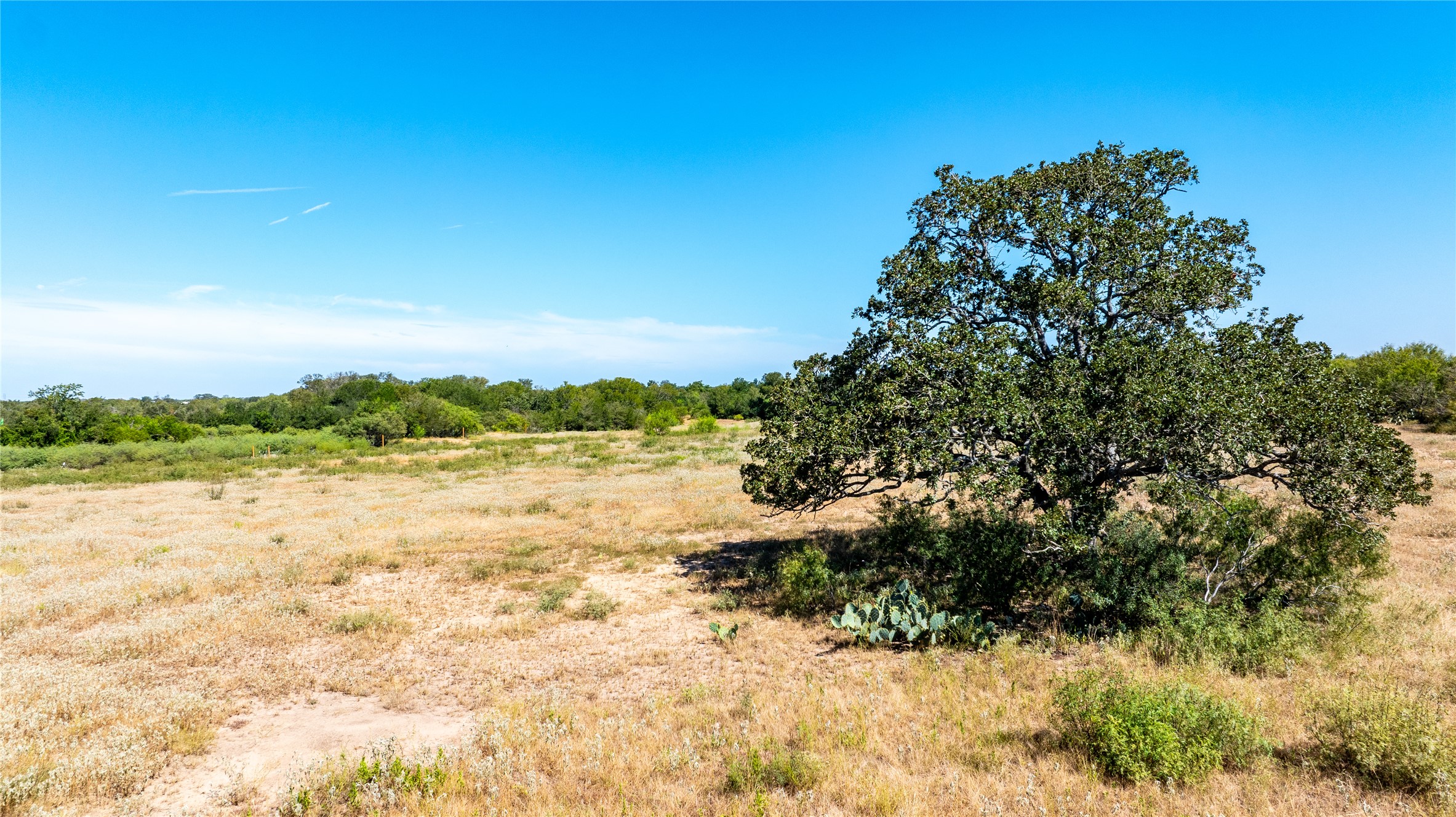 Lot 3 Tumbleweed Trail Dale, TX 78616 - Photo 12 of 20 View of nature featuring rural landscape