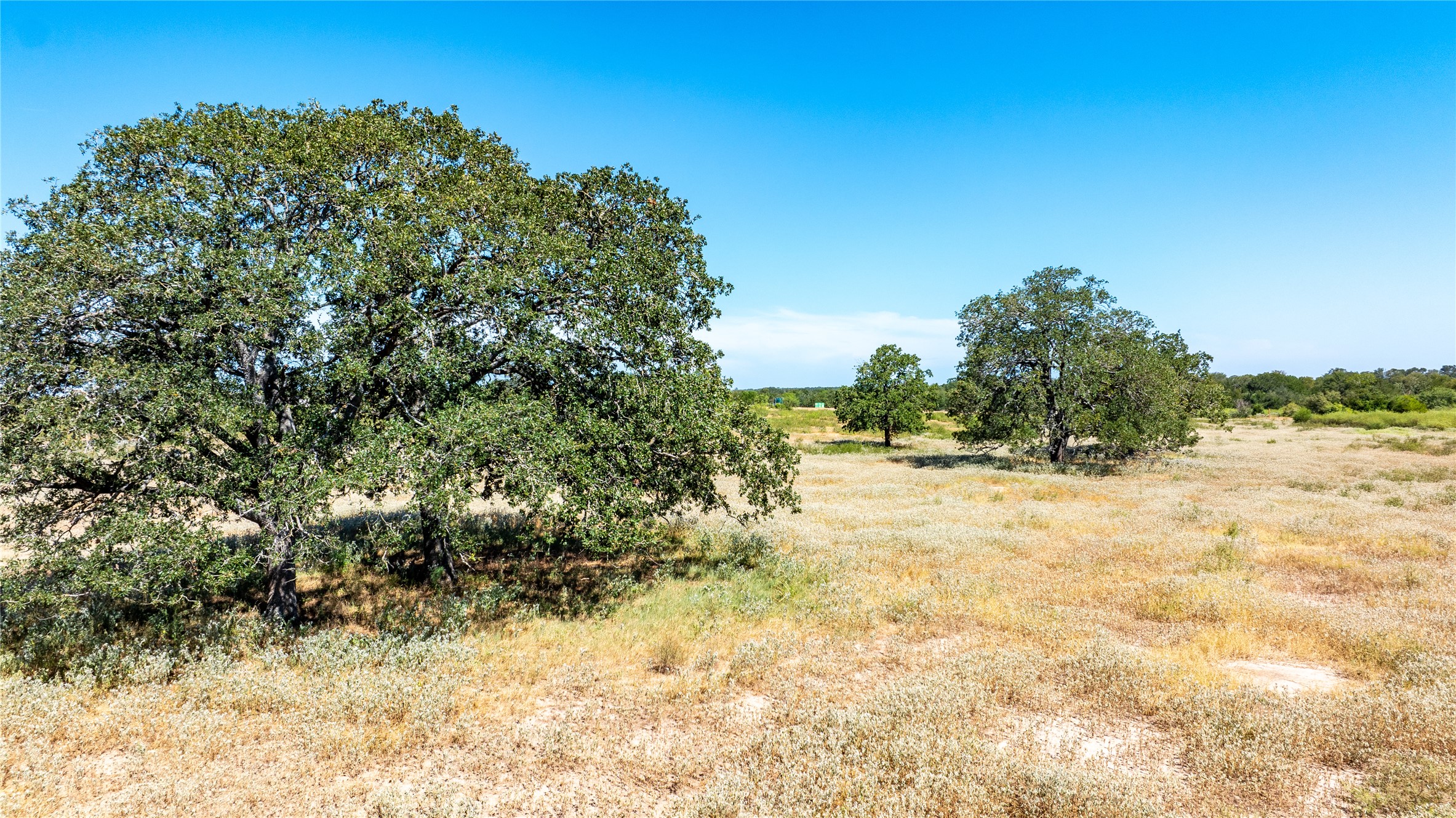 Lot 3 Tumbleweed Trail Dale, TX 78616 - Photo 15 of 20 View of nature with rural landscape