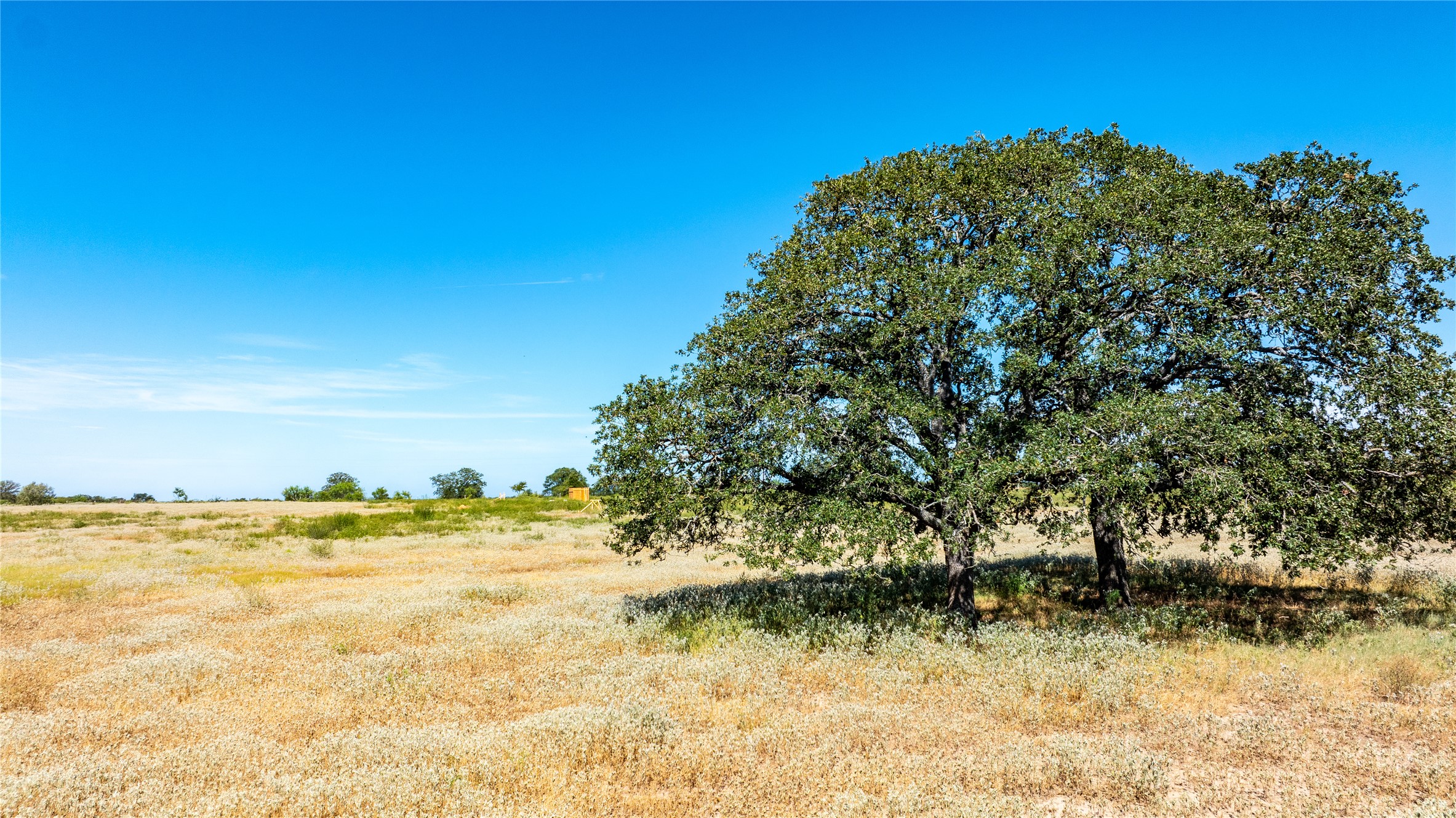 Lot 3 Tumbleweed Trail Dale, TX 78616 - Photo 16 of 20 View of undeveloped land featuring rural landscape