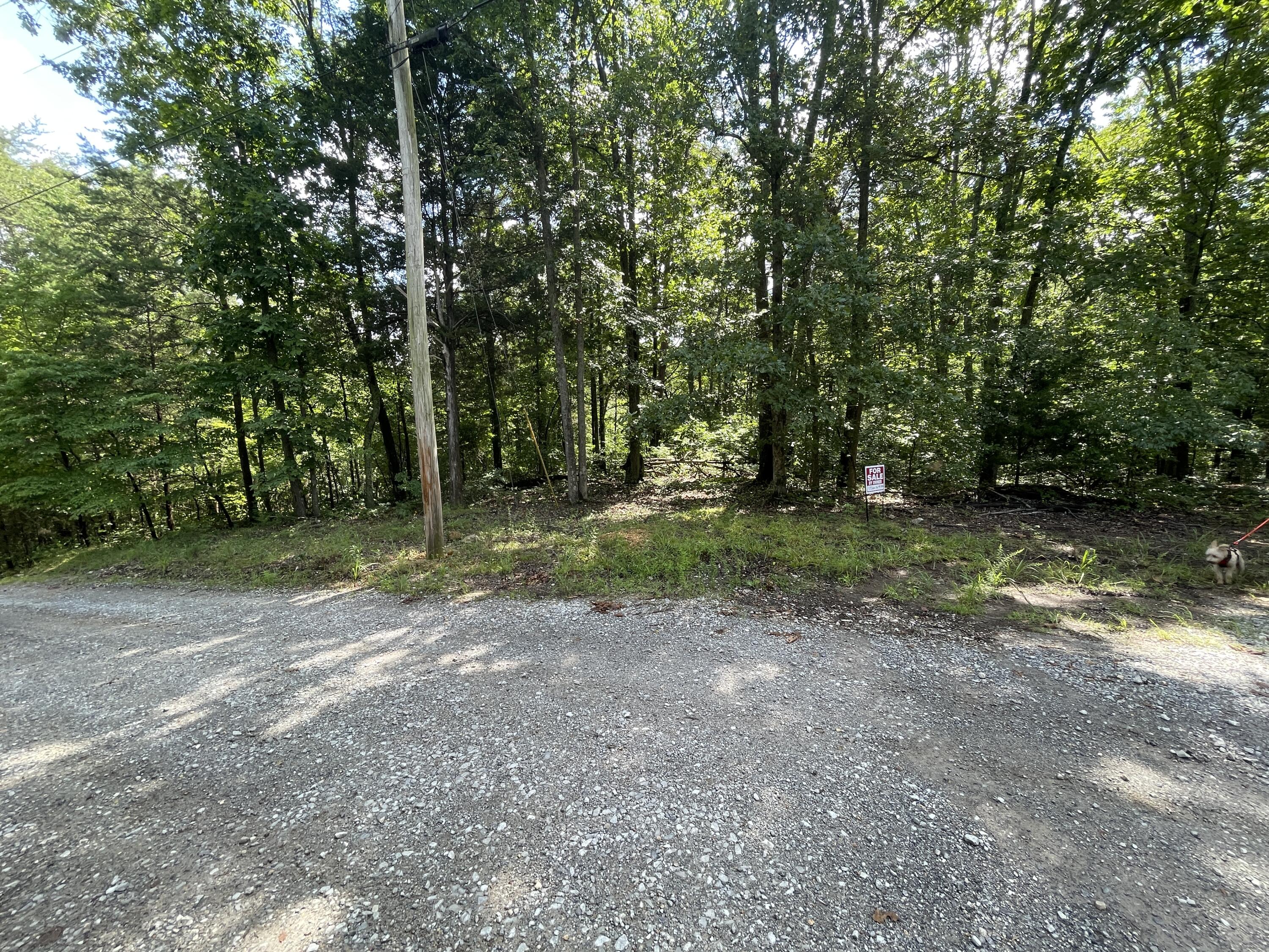 10974 Possum Trail Road Harrison, TN 37341 - Photo 3 of 11 4BC74146-EC6B-4D18-95B8-9C46CD6CD827