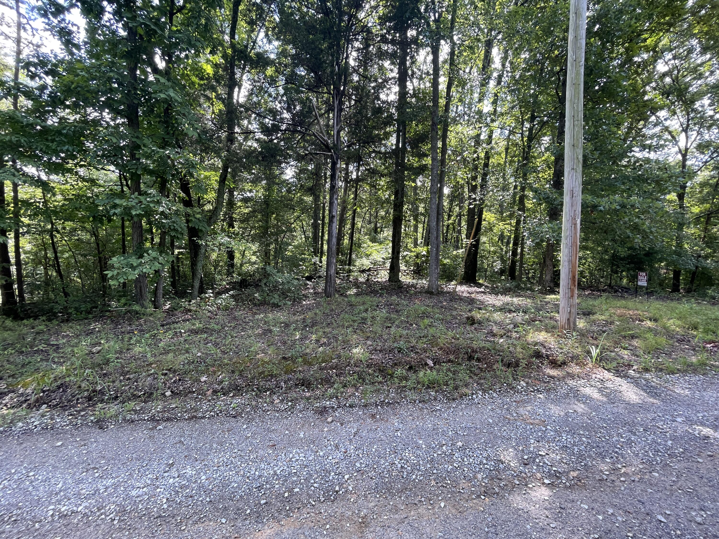 10974 Possum Trail Road Harrison, TN 37341 - Photo 4 of 11 8F86BB40-6F34-432A-B97A-EE02651FFA58