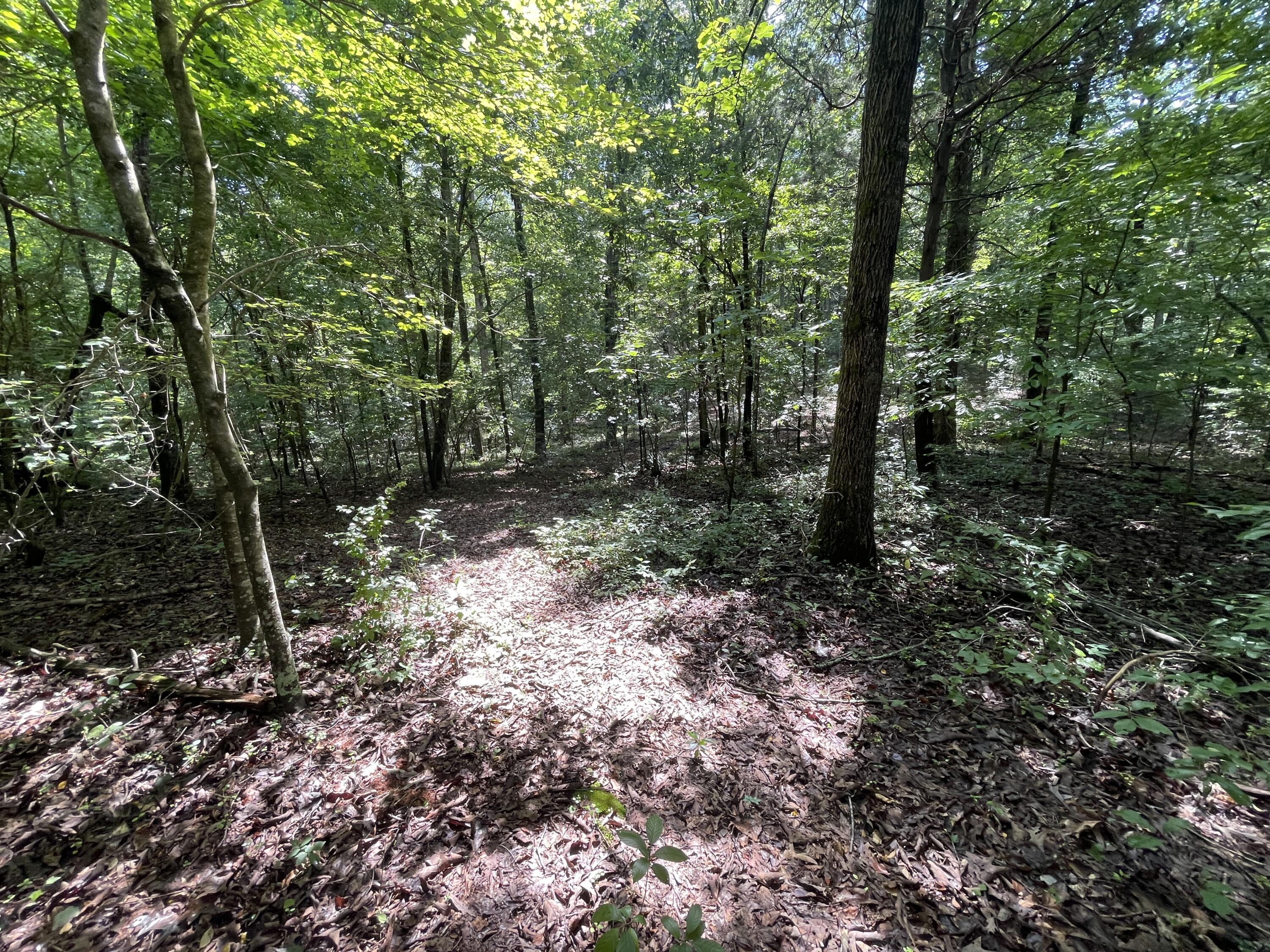 10974 Possum Trail Road Harrison, TN 37341 - Photo 6 of 11 CA0673BB-9292-463E-9CAC-78974AE8916D