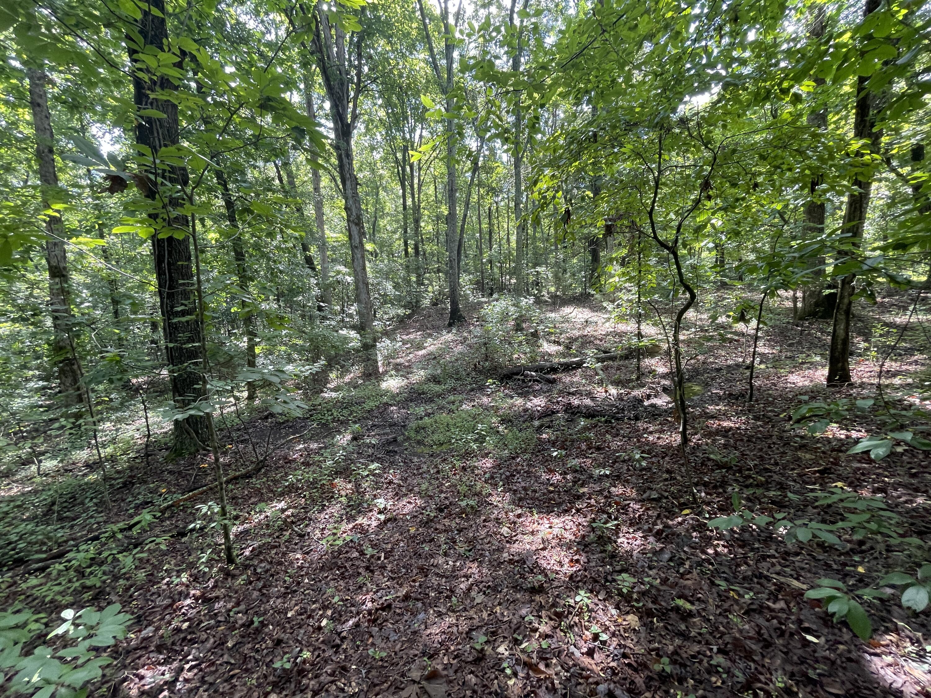 10974 Possum Trail Road Harrison, TN 37341 - Photo 8 of 11 00A4A176-83BF-4CE0-B9AD-B3B327C3CE0A