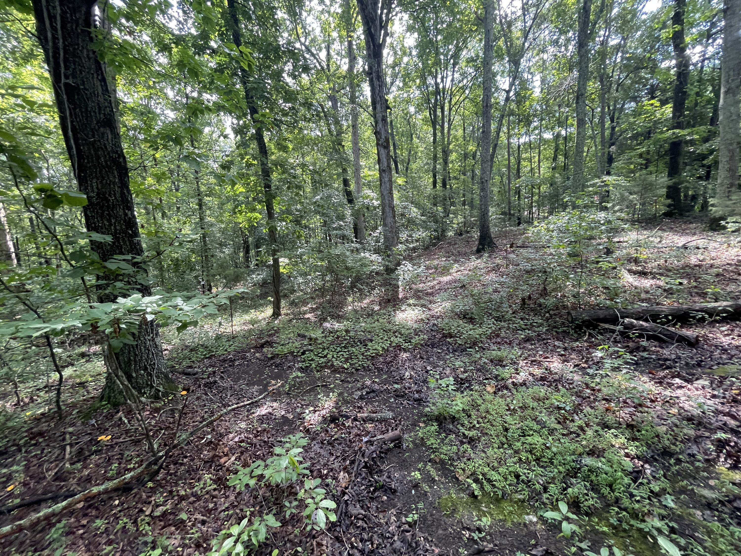 10974 Possum Trail Road Harrison, TN 37341 - Photo 9 of 11 AD4A50C9-7C77-4F85-993D-8D9D7E0E914E