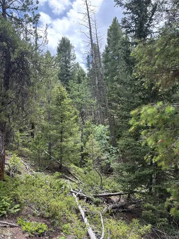 a view of a street with houses