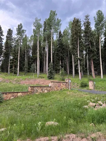 a view of a park with large trees