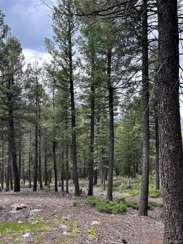 a view of outdoor space with lots of trees