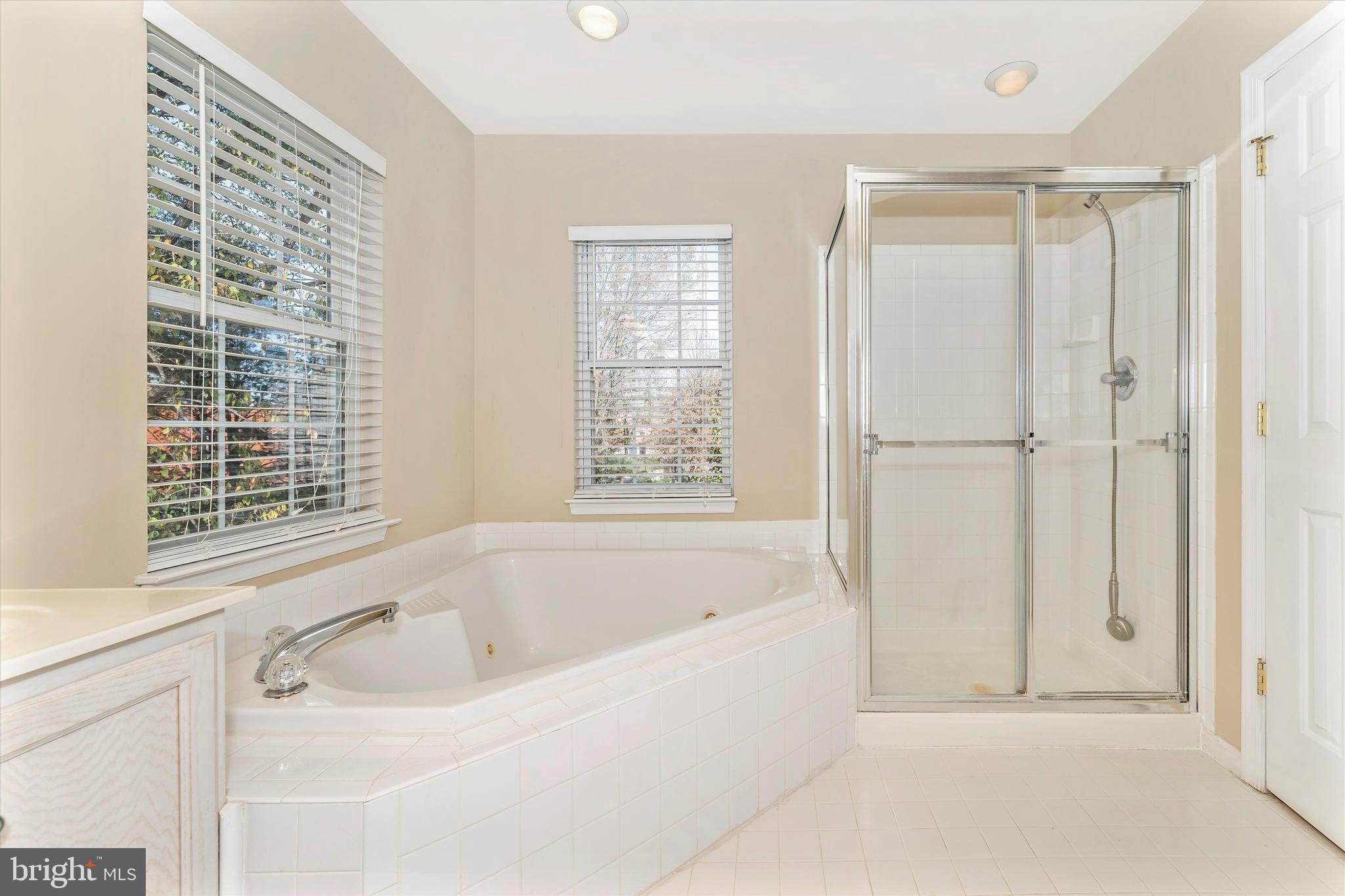 1523 Rambling Way South Frederick, MD 21701 - Photo 33 of 44 Large soaking tub & separate shower