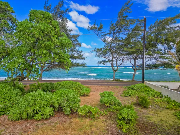 a view of a garden with a tree