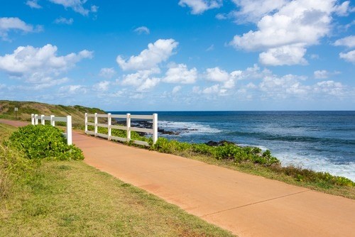1025 Moanakai Road Kapaa, HI 96746 - Photo 18 of 20 a view of a pathway with a big yard