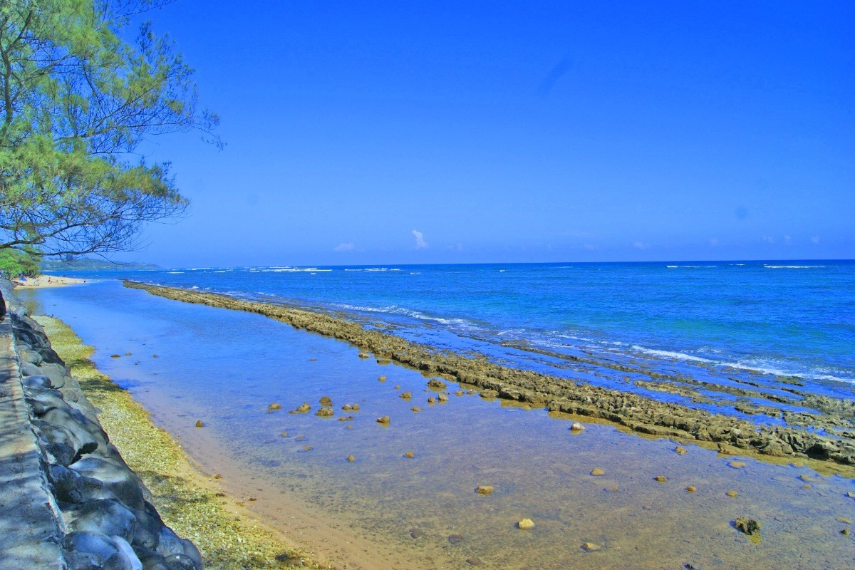 1025 Moanakai Road Kapaa, HI 96746 - Photo 9 of 20 a view of an ocean beach