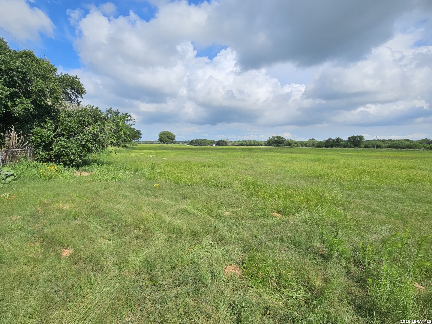17690 Pleasanton Road San Antonio, TX 78221 - Photo 5 of 6